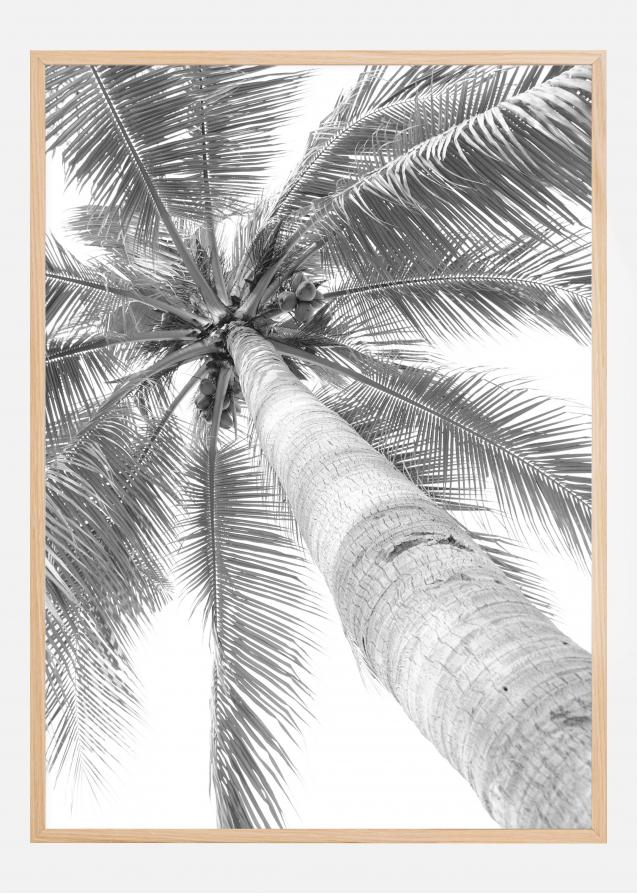 Cartaz de palmeira preto e branco