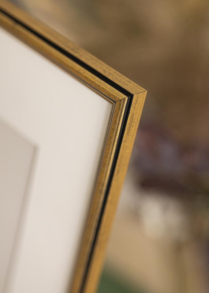 Moldura Horndal Vidro acrlico Dourado 42x59,4 cm (A2)