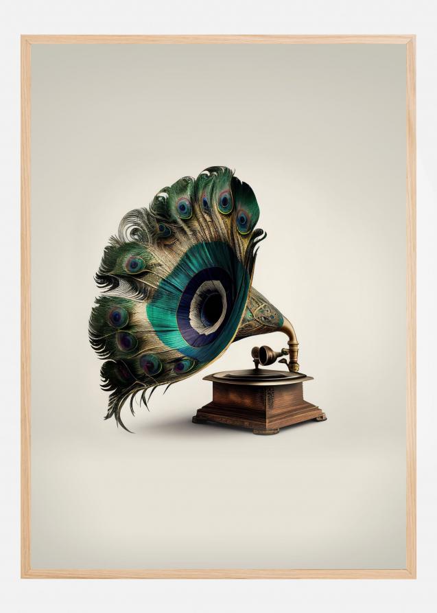 Peacock Gramaphone Póster