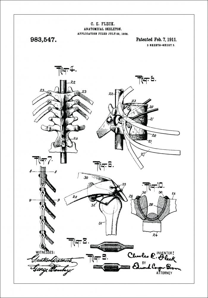 Desenho de patentes - Esqueleto anatmico III Pster