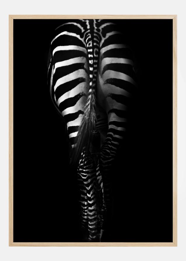 Zebra Tail Póster