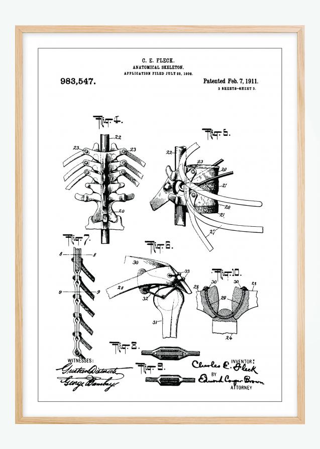 Desenho de patentes - Esqueleto anatómico III Póster