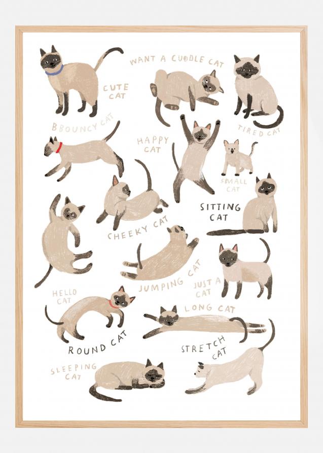 Siamese Cat Print Póster