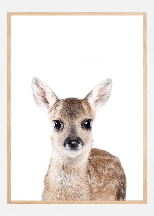 Baby Deer Póster