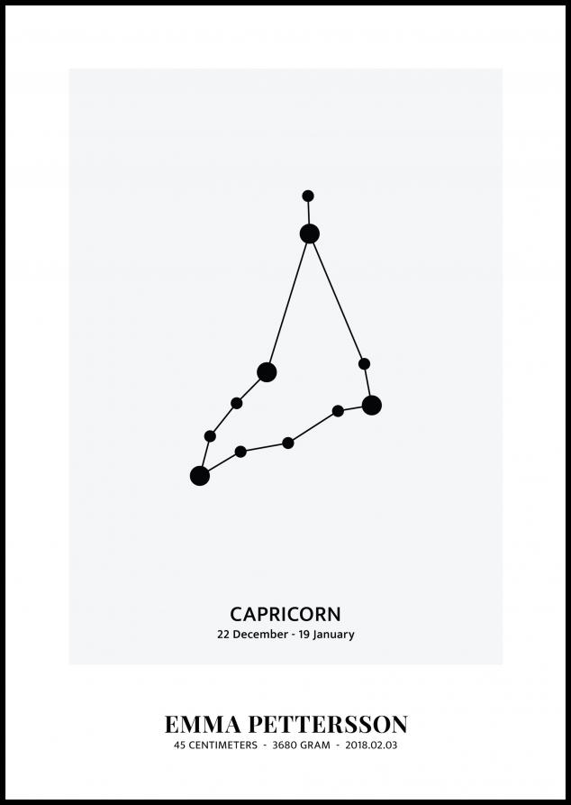 Capricorn - Signo do Zodíaco