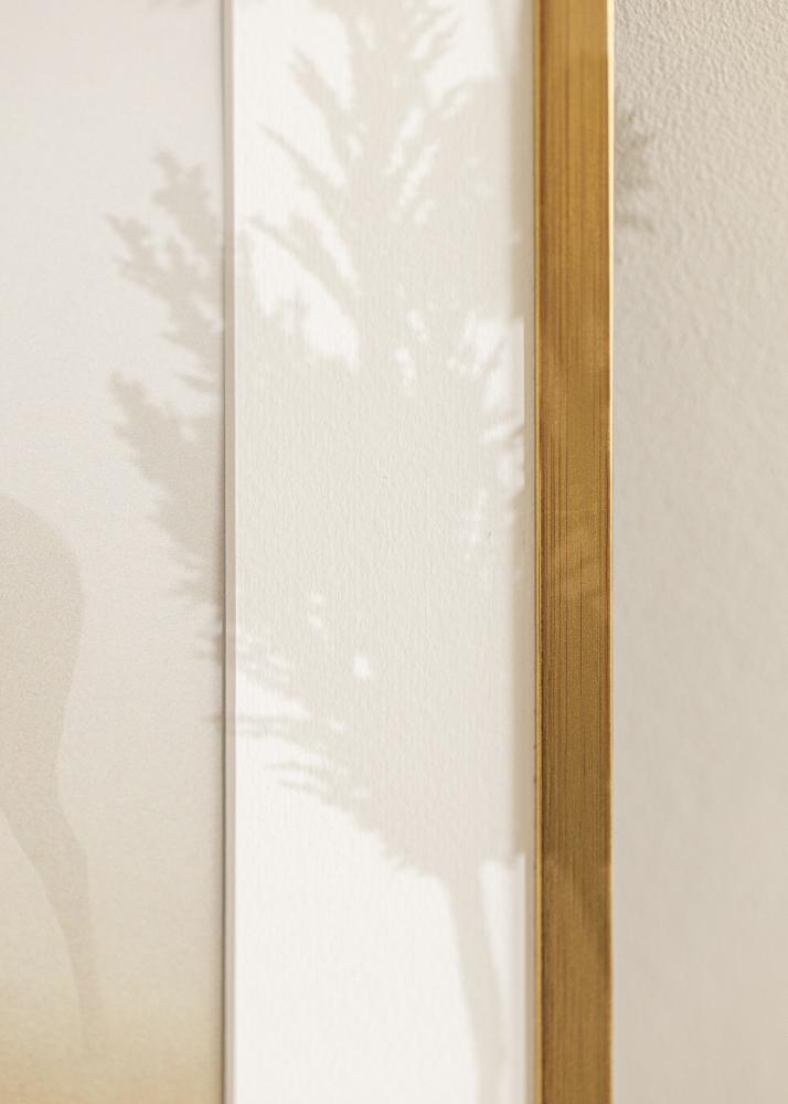 Moldura Edsbyn Vidro acrlico Dourado 15x20 inches (38,1x50,8 cm)