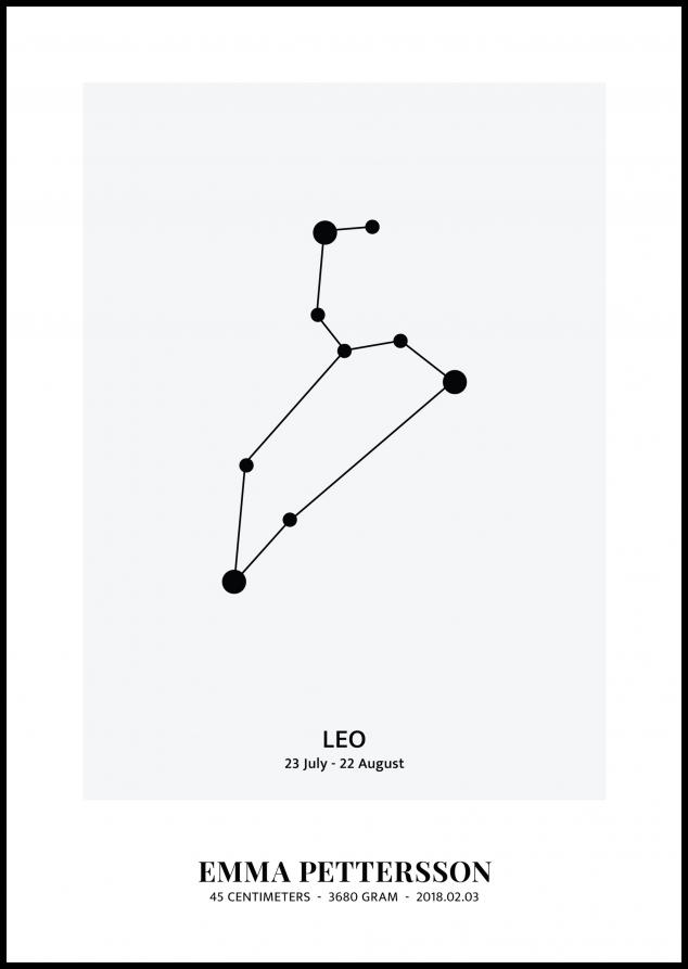 Leo - Signo do Zodíaco