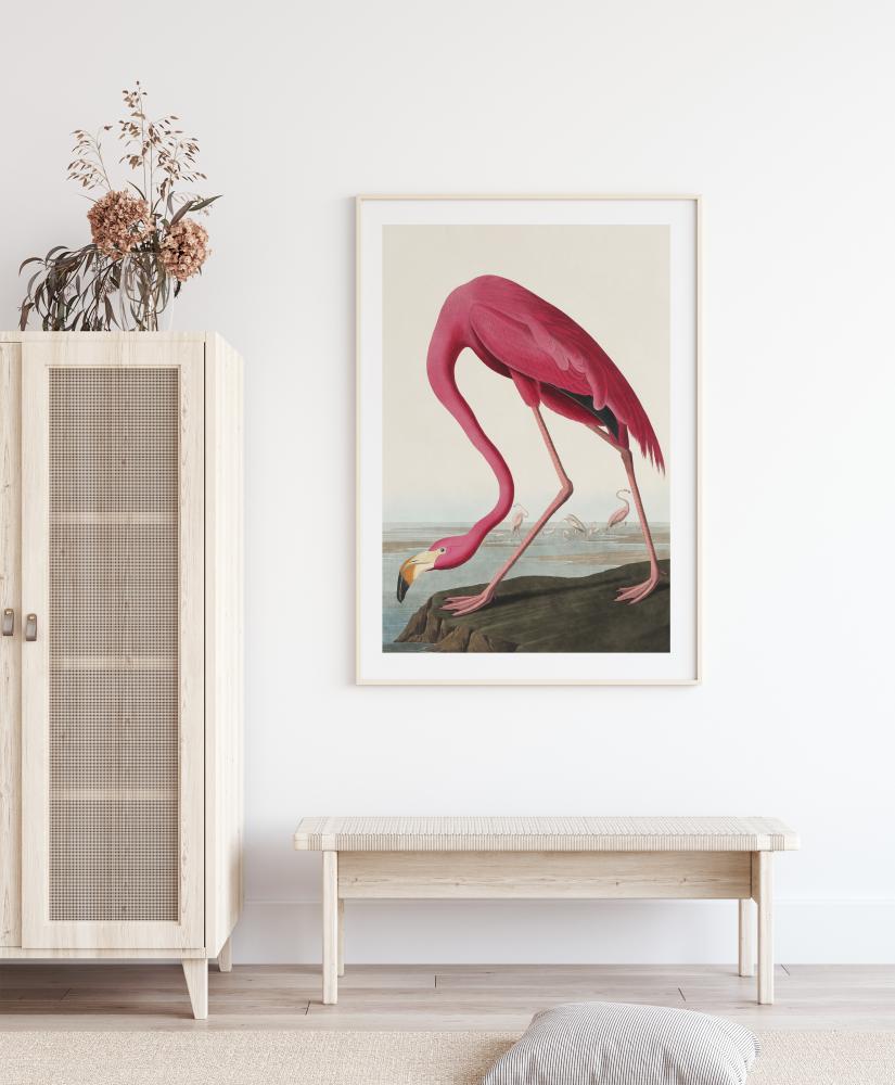 American Flamingo Pster