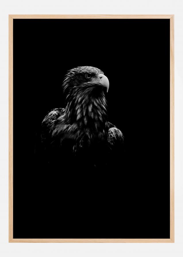 Cartaz da águia negra