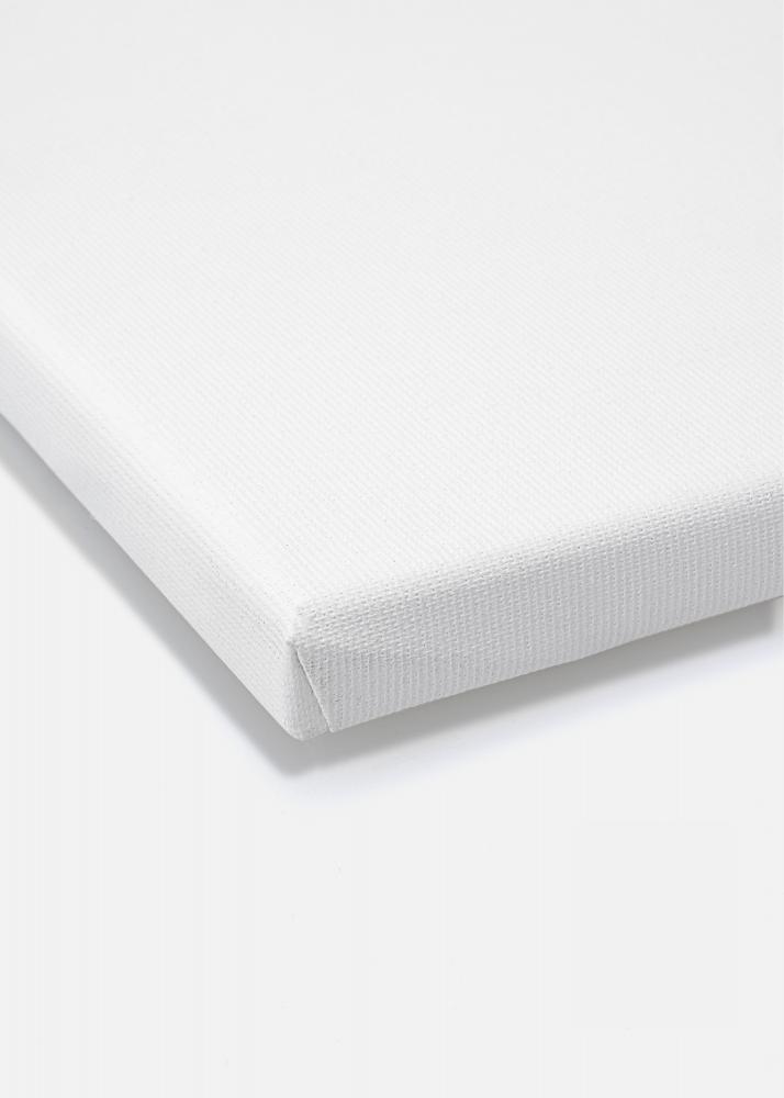 Tela de pintura Premium Branco 60x80 cm