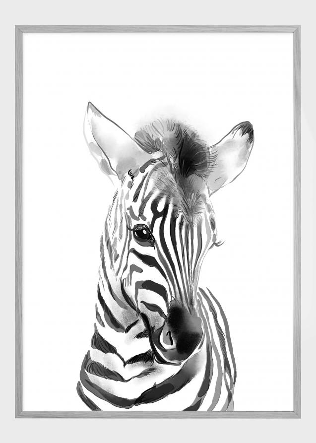 Zebra Watercolor Póster