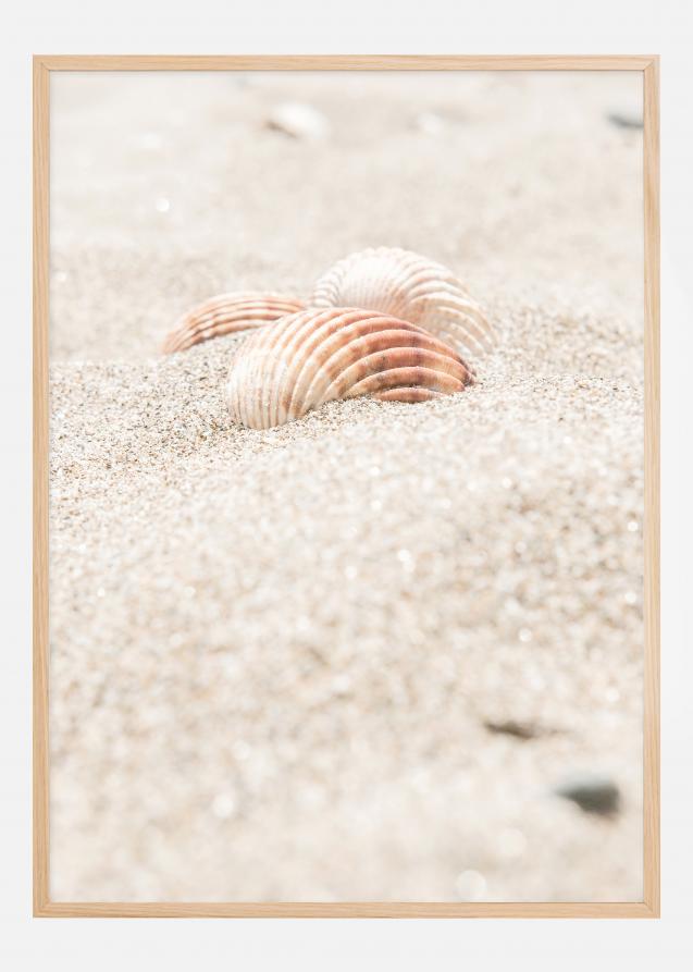 Seashell beach Póster