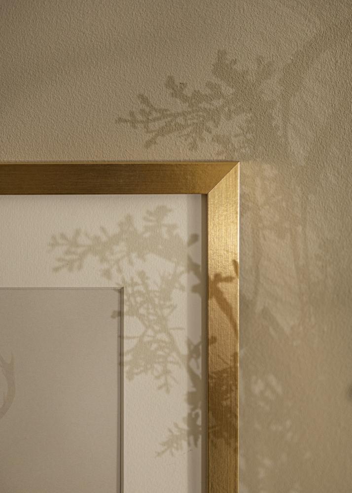 Moldura Selection Vidro acrlico Dourado 70x100 cm