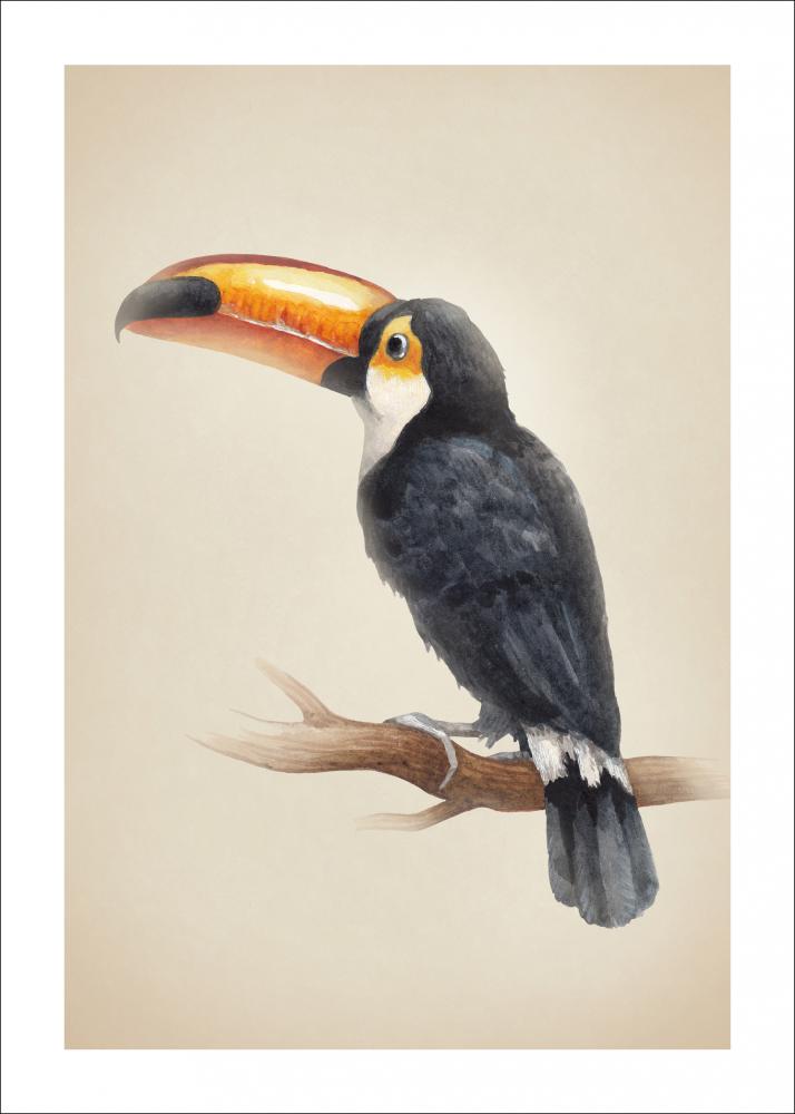 Tropical Toucan Pster