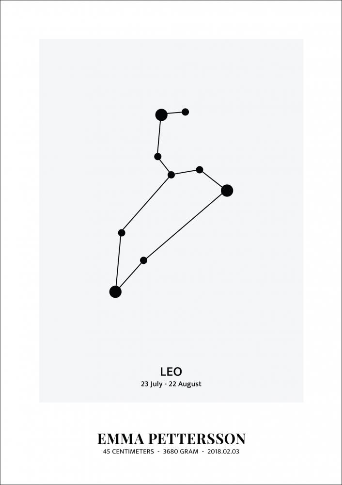Leo - Signo do Zodaco