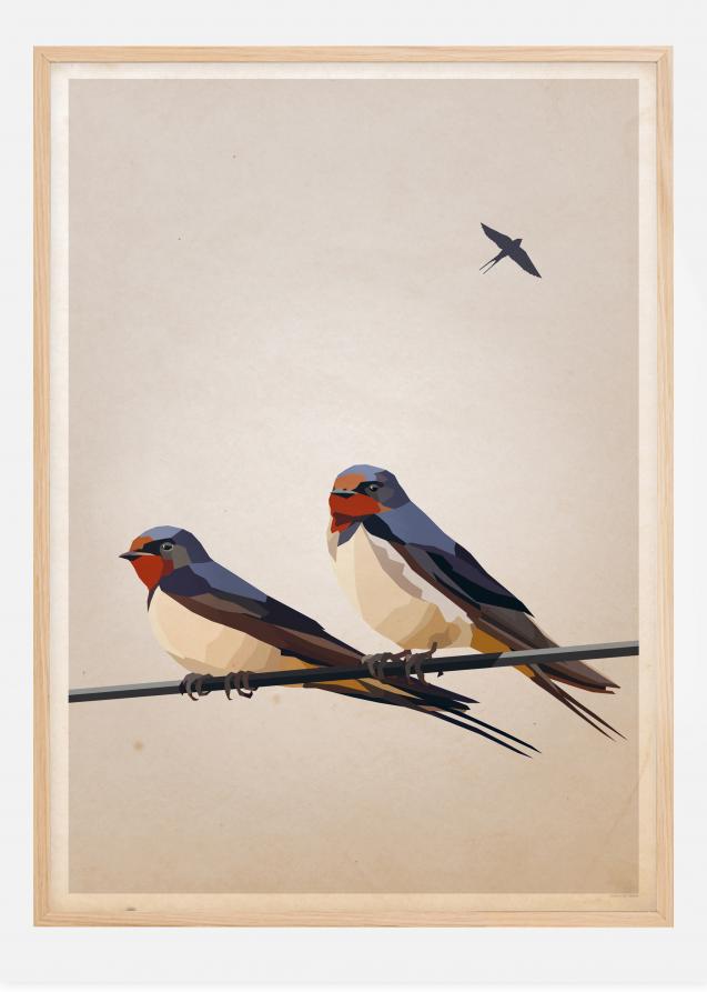 Swallows Póster