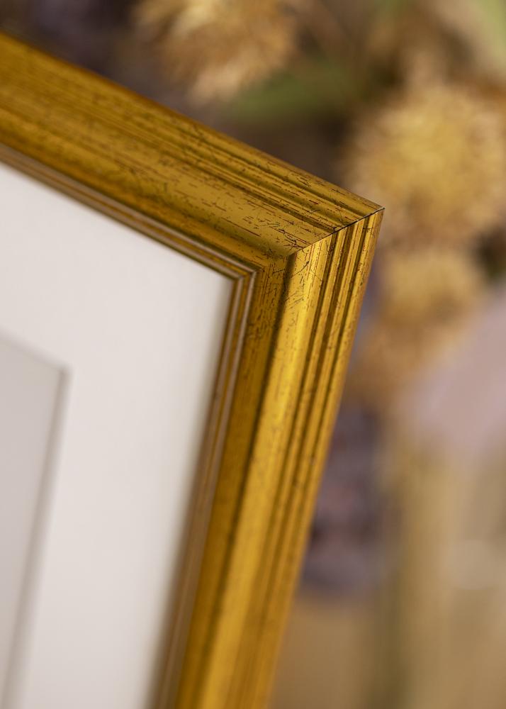 Moldura Vstkusten Vidro acrlico Dourado 50x60 cm