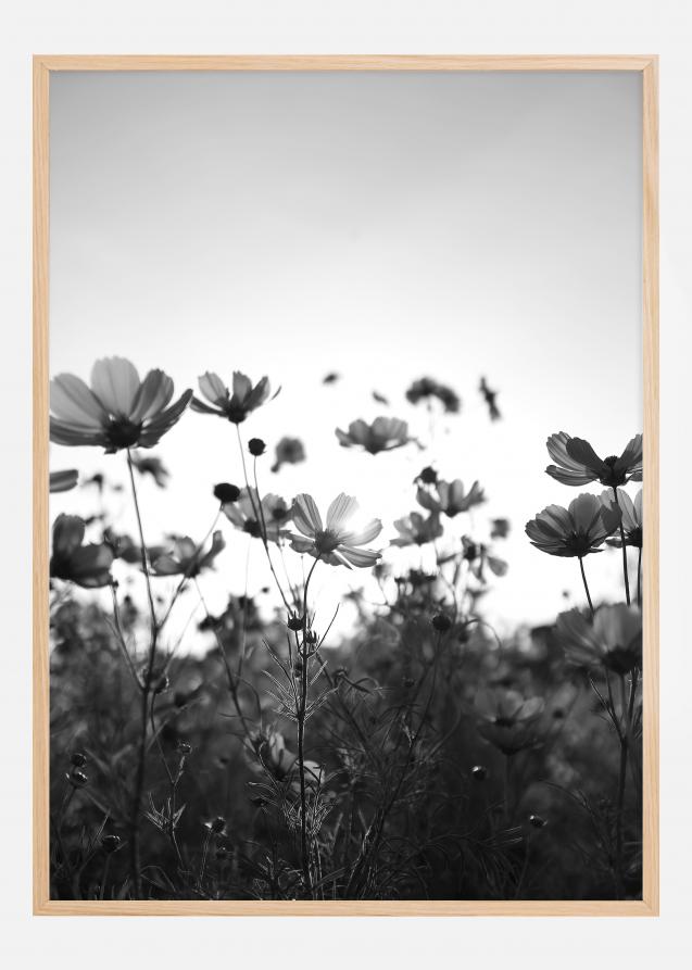 Campo a preto e branco com flores Poster
