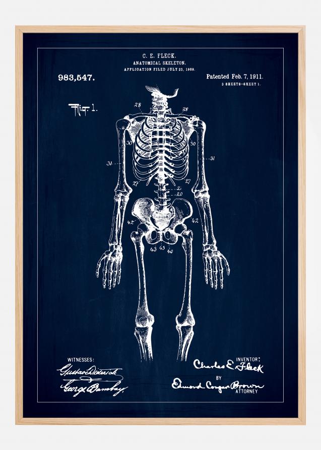 Desenho de patentes - Esqueleto anatómico I - Azul Póster