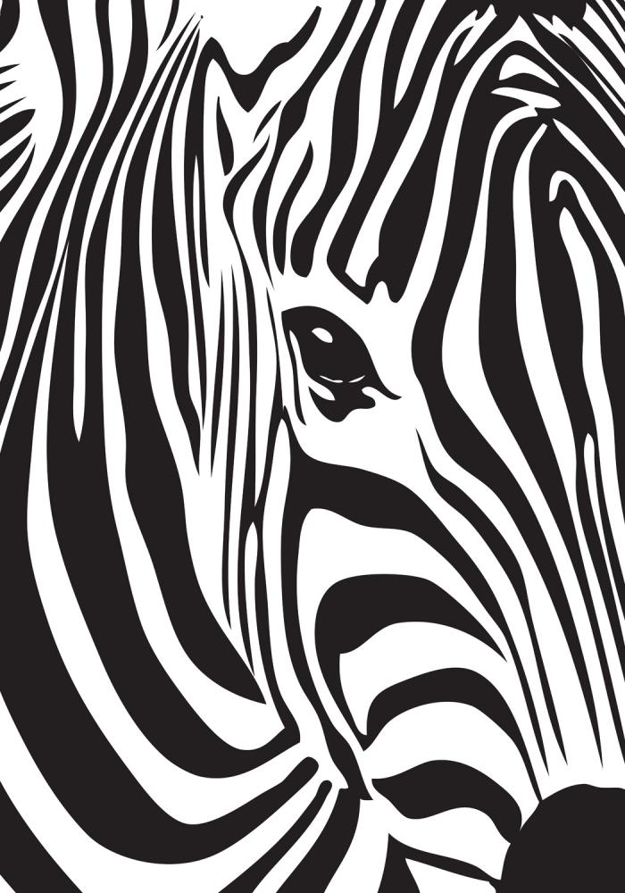 Zebra Pster