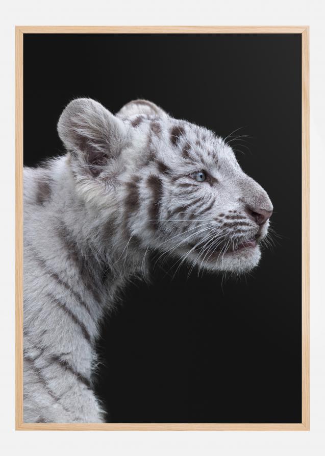 White tiger Póster
