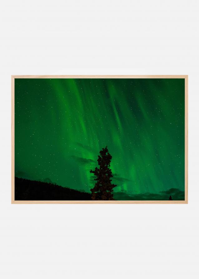 Aurora boreal Póster