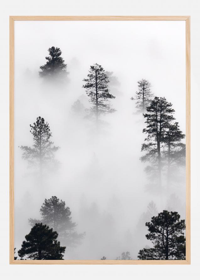 Fogy Forest Póster