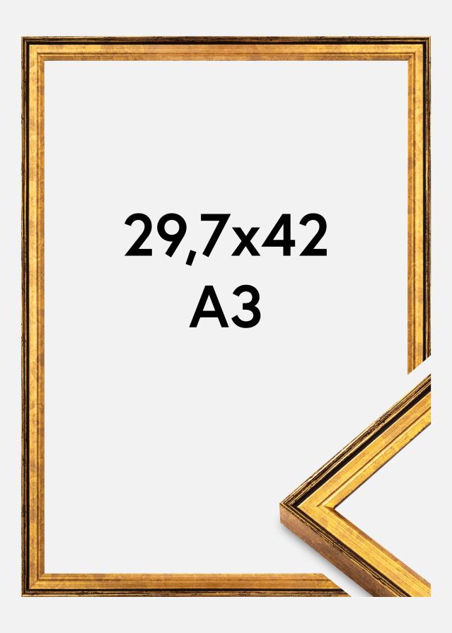 Moldura Ringa Vidro Acrílico Ouro 29,7x42 cm (A3)