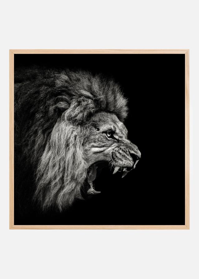 Roaring Lion #2 Póster