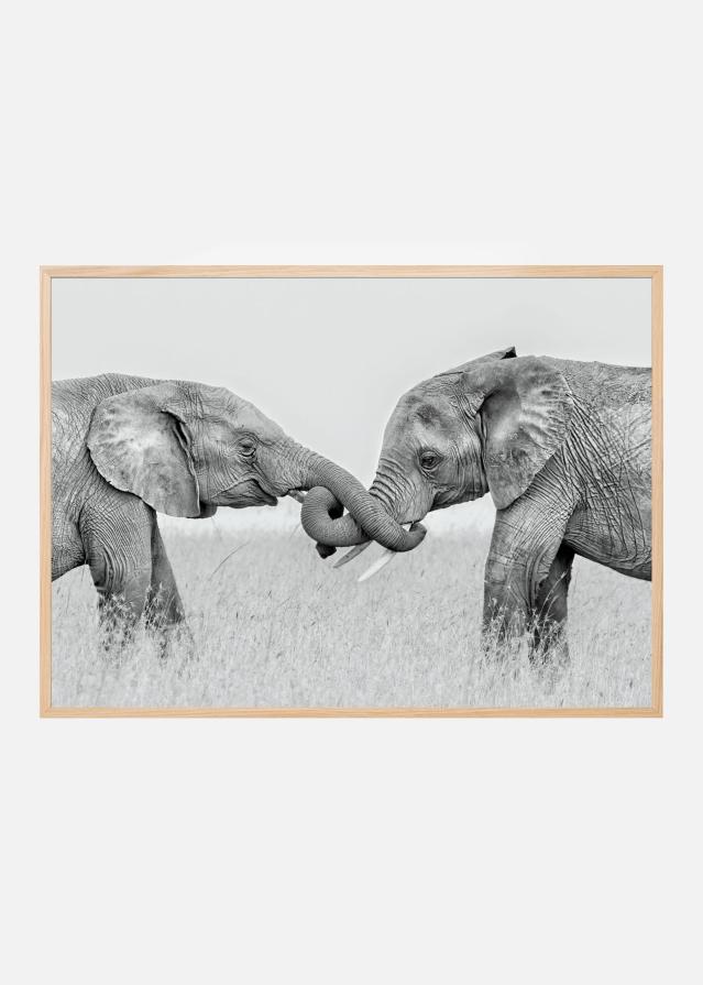 Confrontation Póster