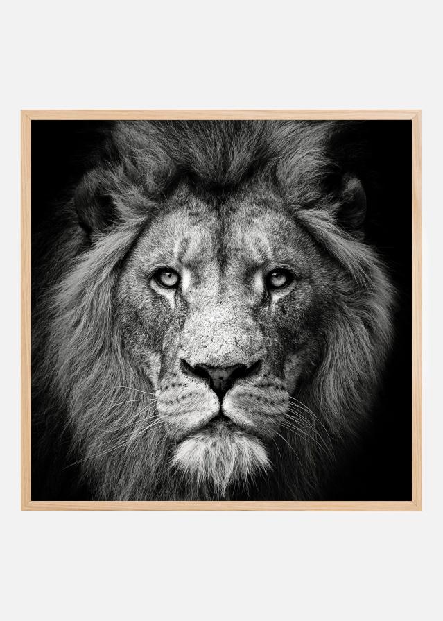 Stare Me Down #3 Póster