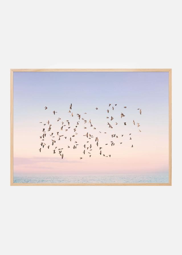 Sunset Flight Póster