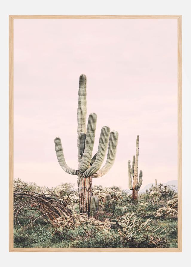 Pink Saguaro Póster