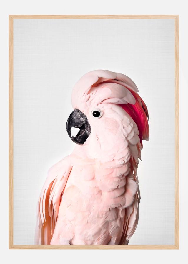 Pink Cockatoo Póster