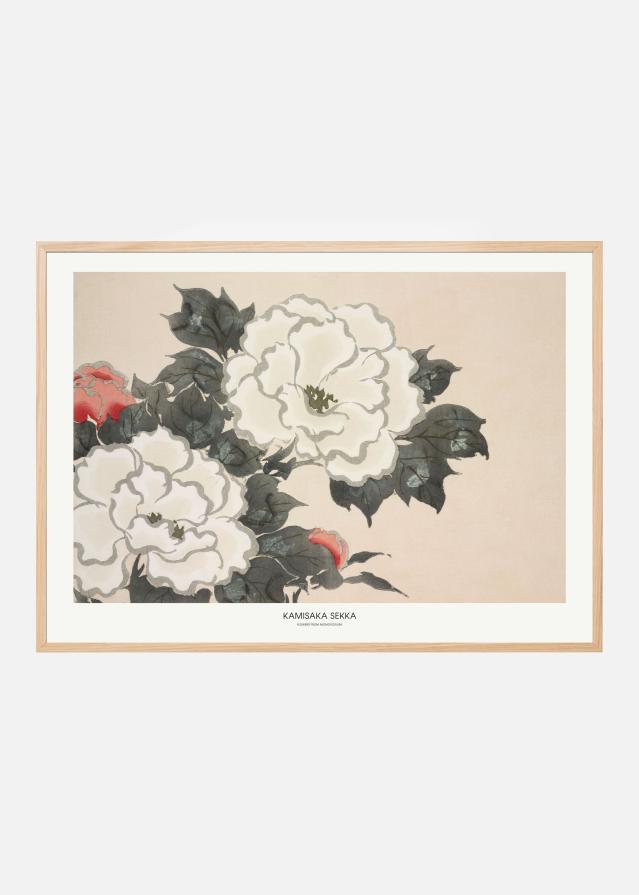 Flowers From Momoyogusa Póster