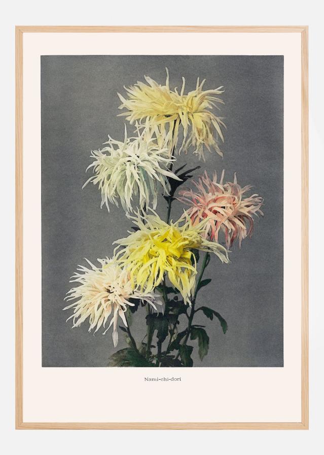 Namiachiadori Póster