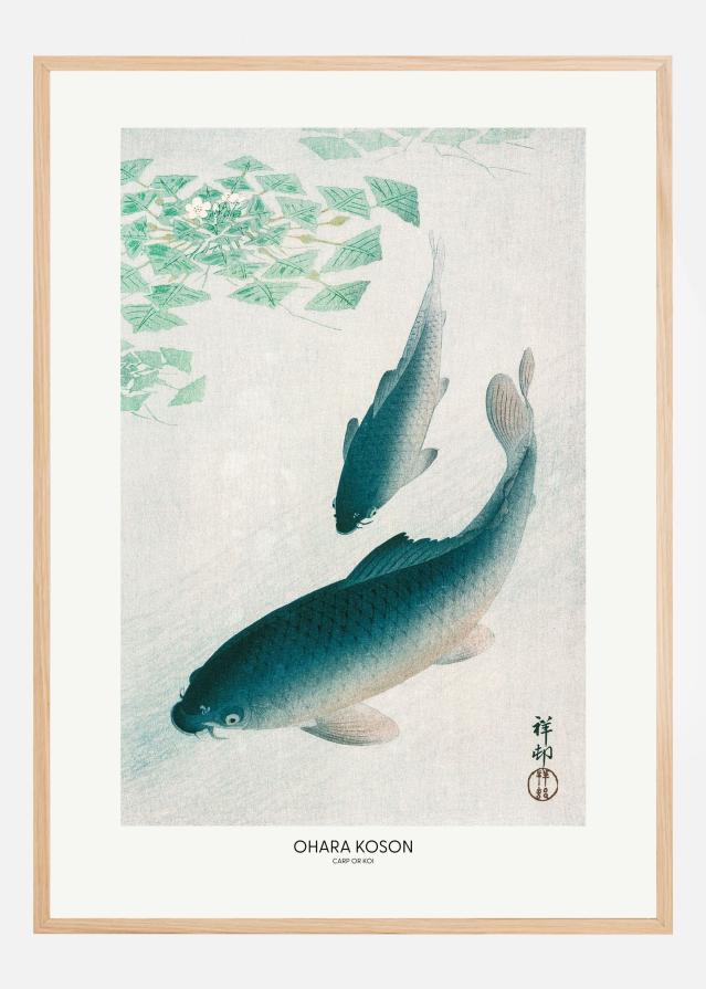 Carp Or Koi Póster