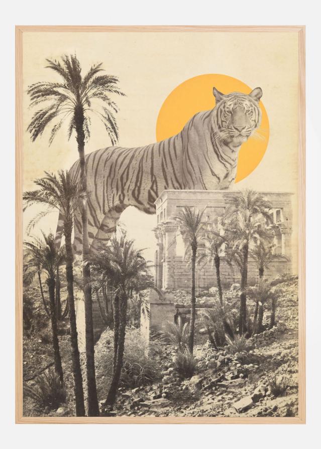 Giant Tiger In Ruins Póster
