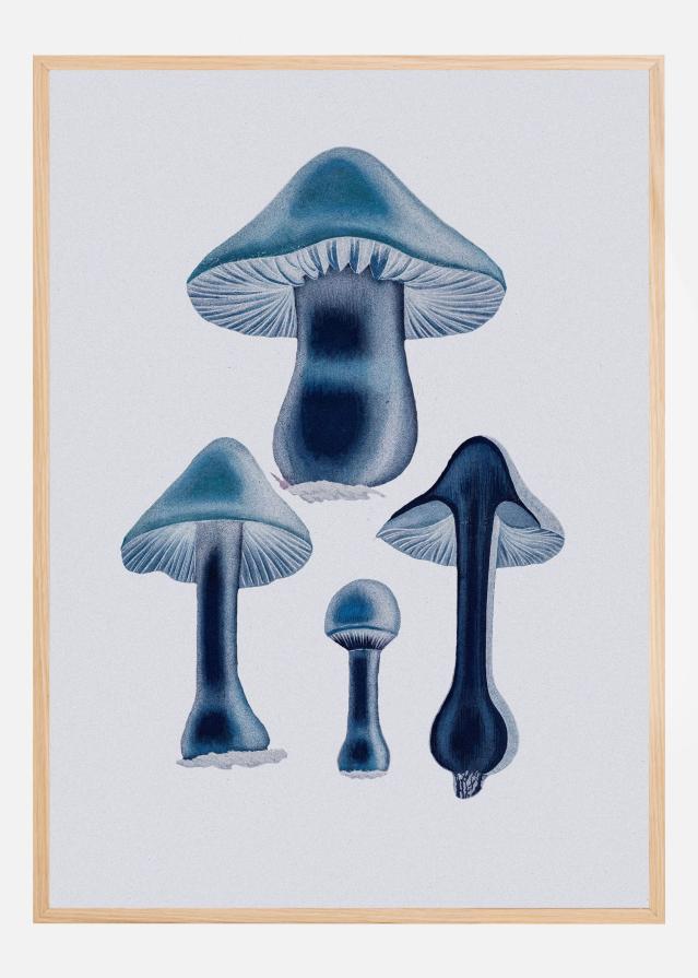Agaricus Bulbosus - Blue Póster