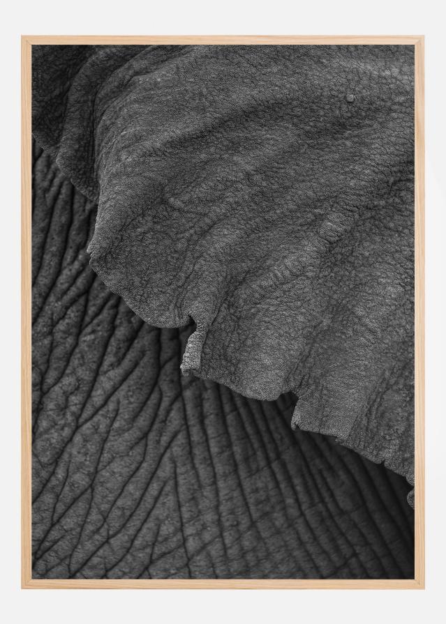 Olifant 02 Póster