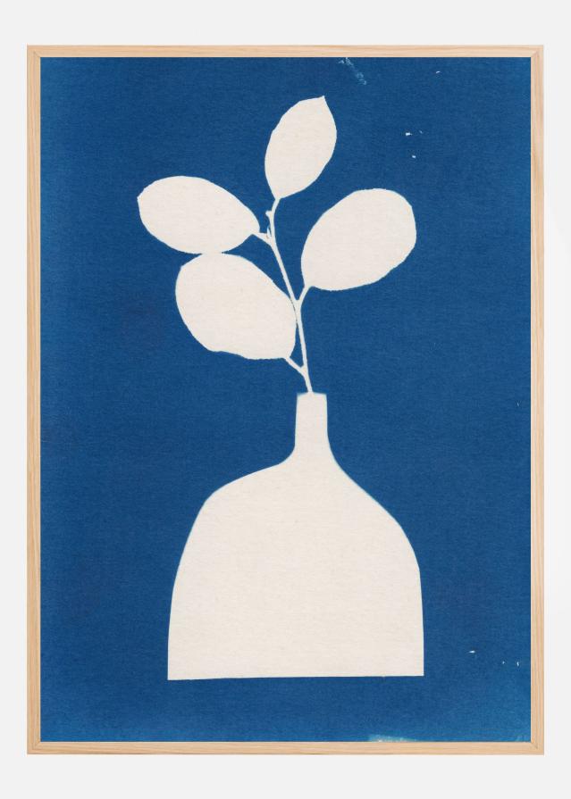 Cyanotype Still Life Studies #2 Póster