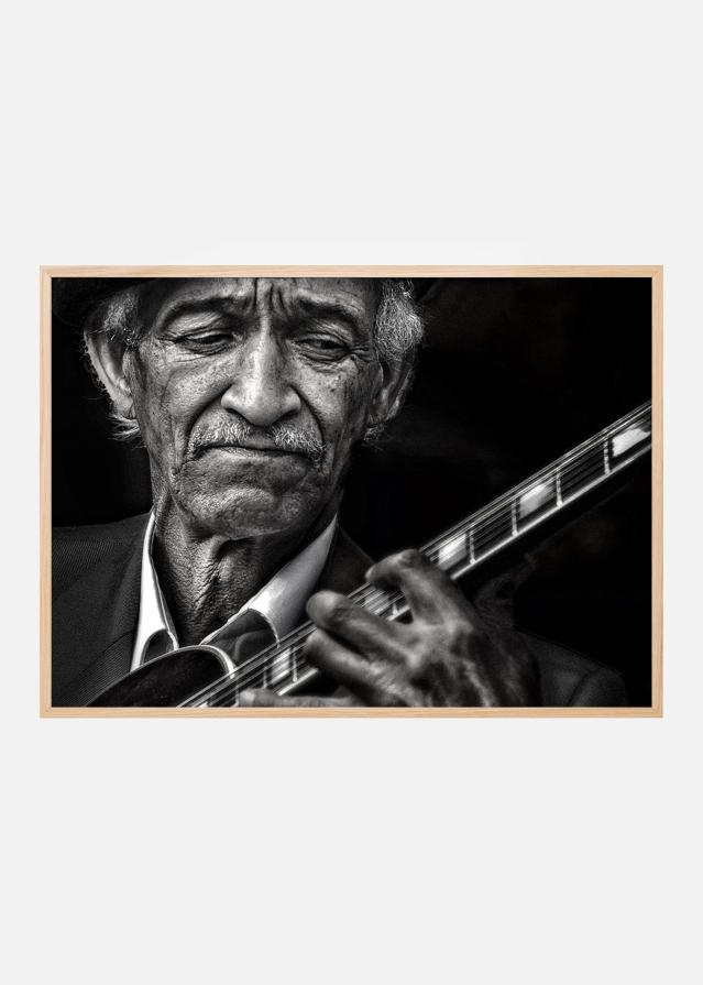 the guitarist Póster