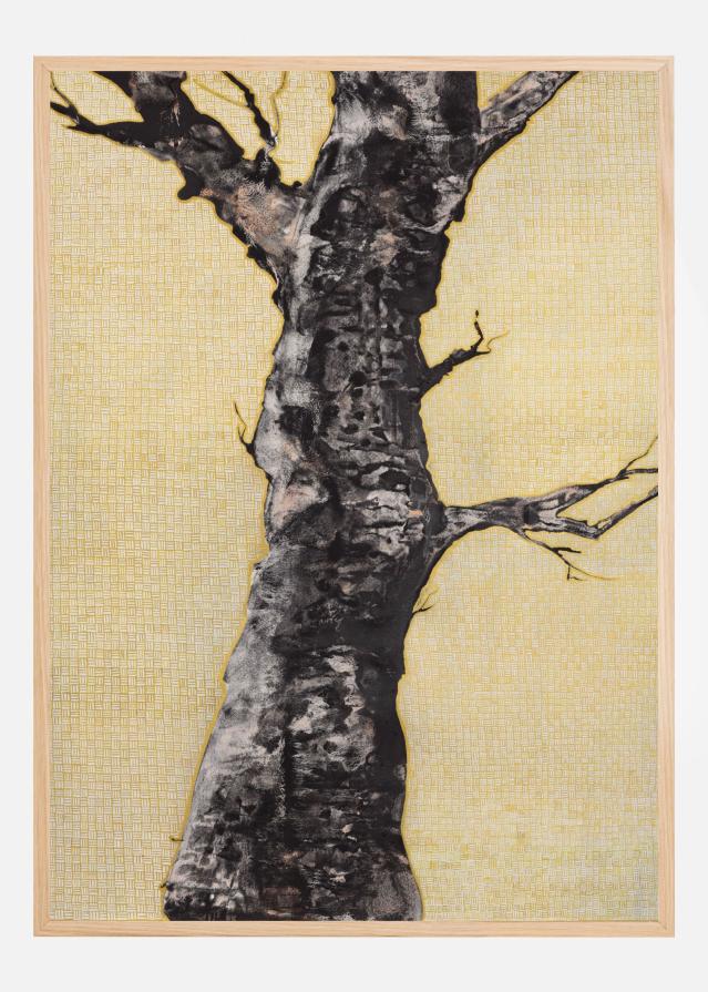 Aurum Naturae I Póster