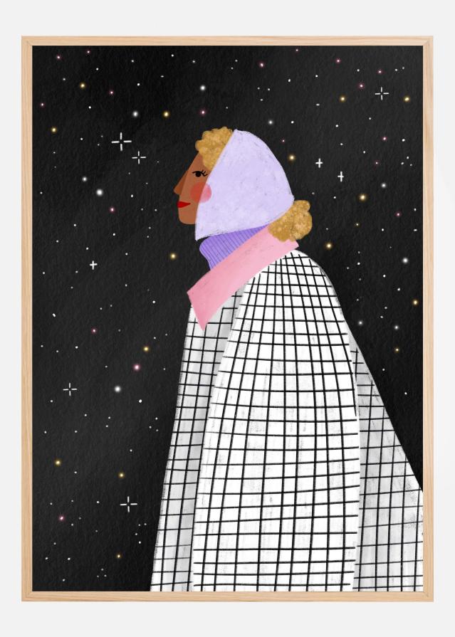 The Lady with the stars Póster