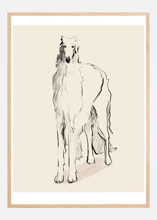 Borzoi Russian Wolfhound Pandc Póster