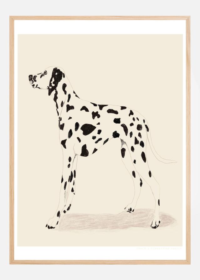 Pandc Dalmation Póster
