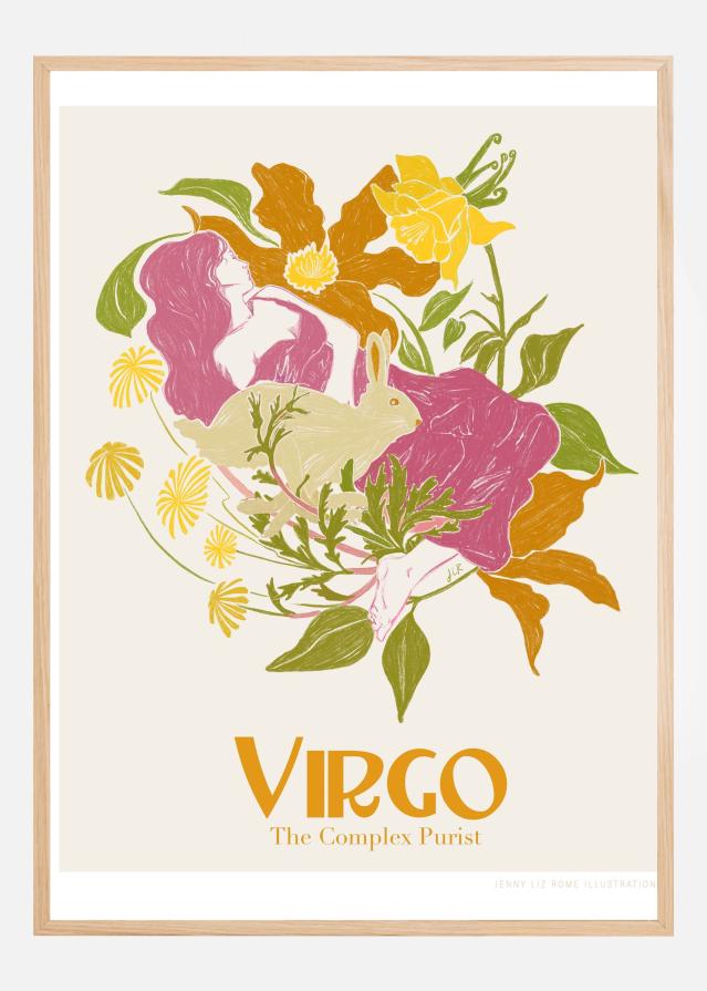 Jlr Virgo Póster
