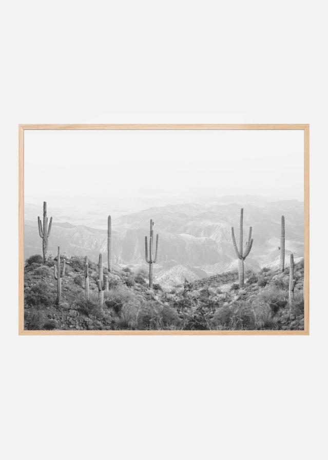 Western Cactus Póster