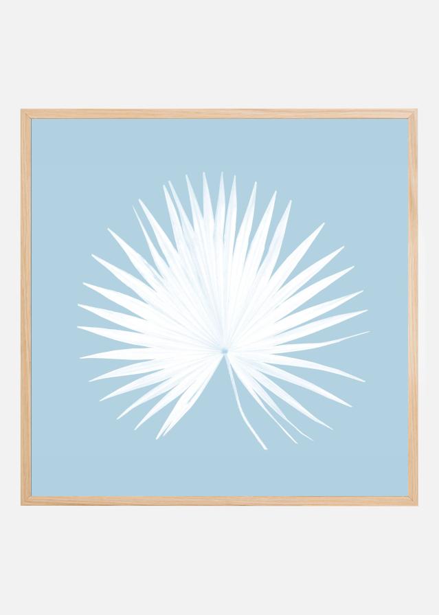 Tropical Blue 1 Póster