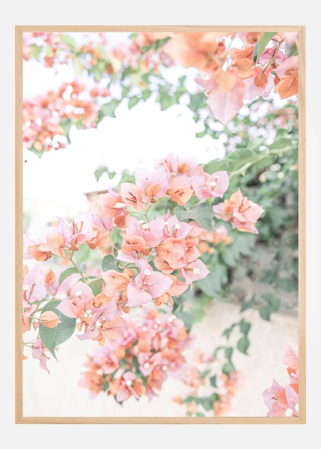 Peach Bougainvillea Póster